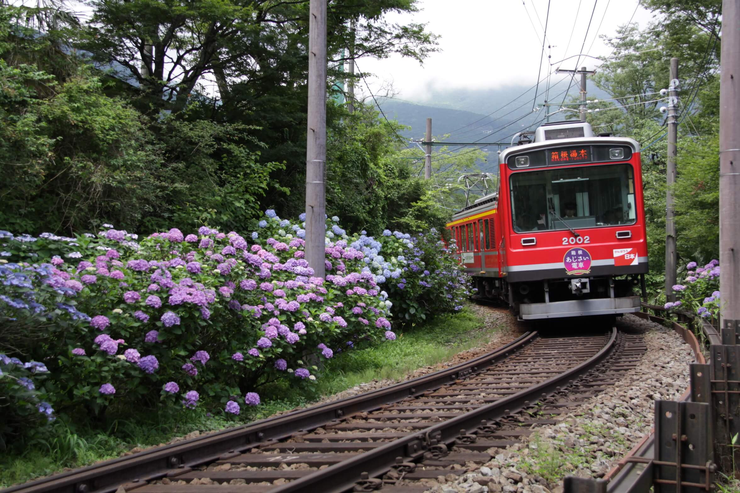 フォトライブラリー ファンページ 箱根登山電車 箱根登山ケーブルカー フォトライブラリー ファンページ 箱根登山電車 箱根登山ケーブルカー