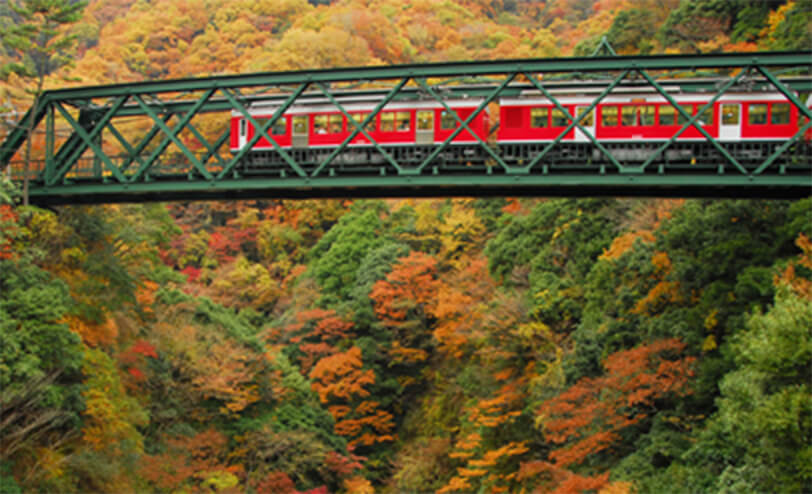 箱根登山鉄道