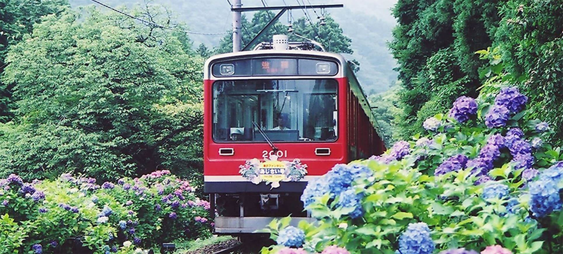 概要 あじさい電車 箱根登山電車 箱根登山ケーブルカー